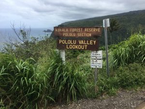 Pololu Valley Big Island of Hawaii